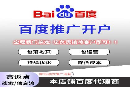 竞价推广策略：某电商平台的成功案例